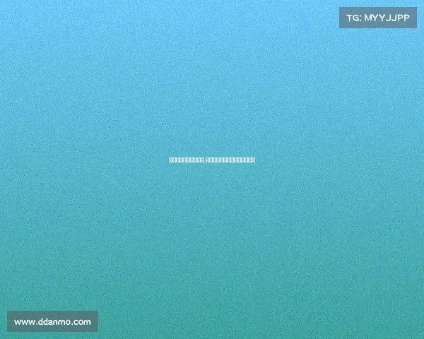 纽卡与莱比锡谈判推进 谢什科愿意加盟英超展开新篇章